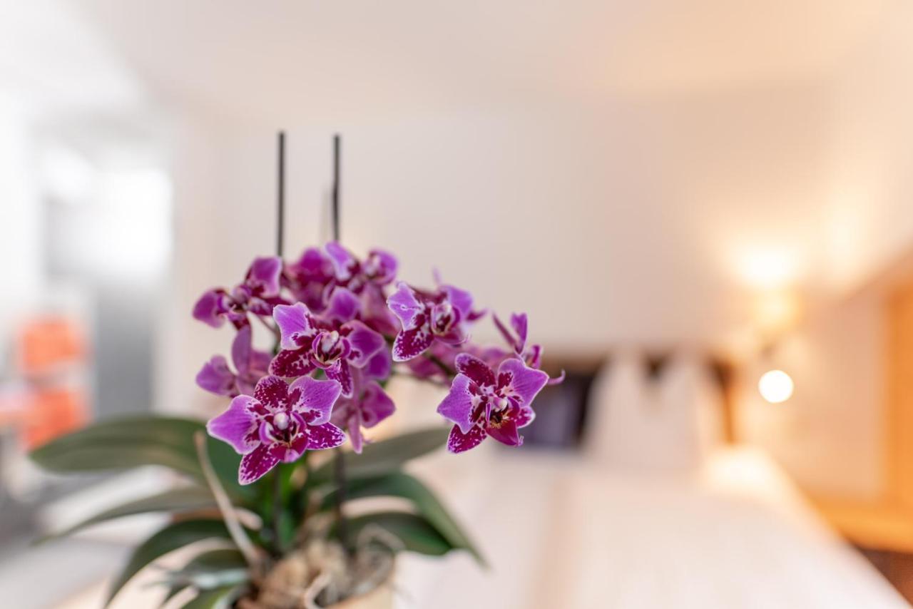Wellnesshaus Reichelt Apart otel Radstadt Dış mekan fotoğraf